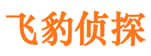 灵川市婚外情调查